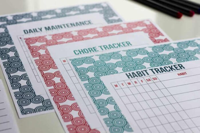 Habit Tracker, Chore Tracker, Daily Maintenance Tracker - Stay on Track Pack - Organizing Moms