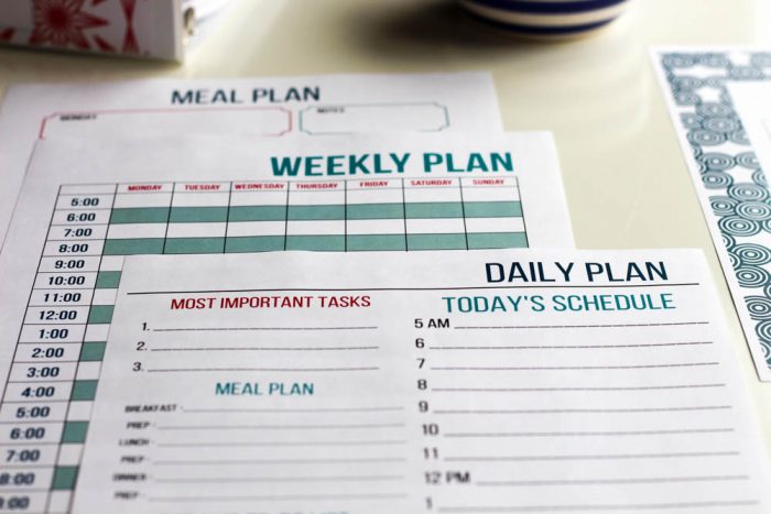 Daily Plan, Weekly Plan, Meal Plan. Stay on Track Pack - Organizing Moms