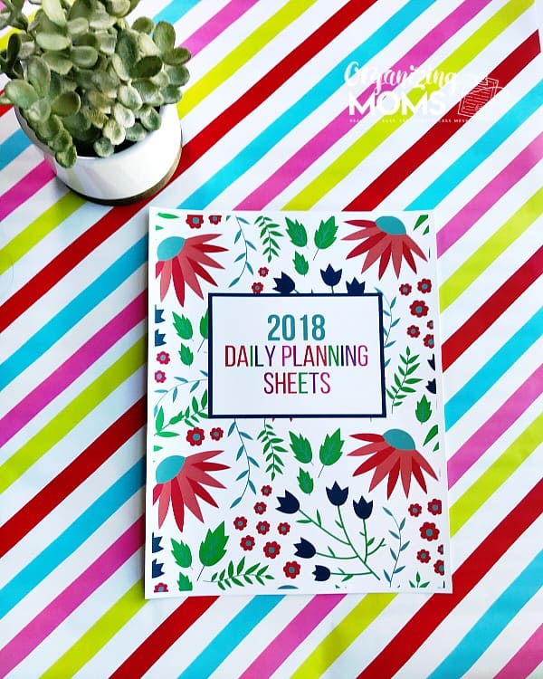 The 2018 Cover for Daily Planning Sheets from Organizing Moms.