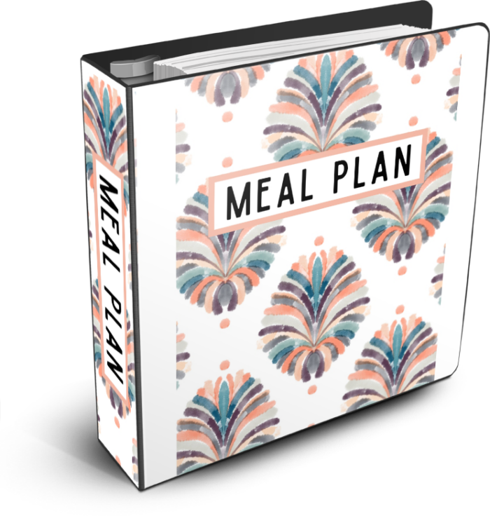 Organize Your Home with a Binder Organization System Organizing Moms