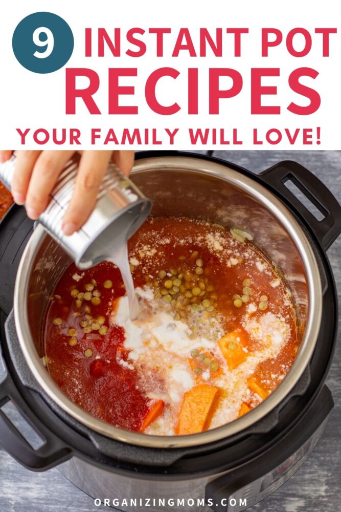 9 instant pot recipes your family will love