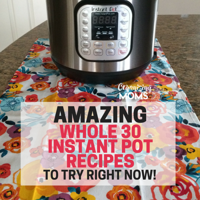 The Best Instant Pot Chicken Recipes - Organizing Moms