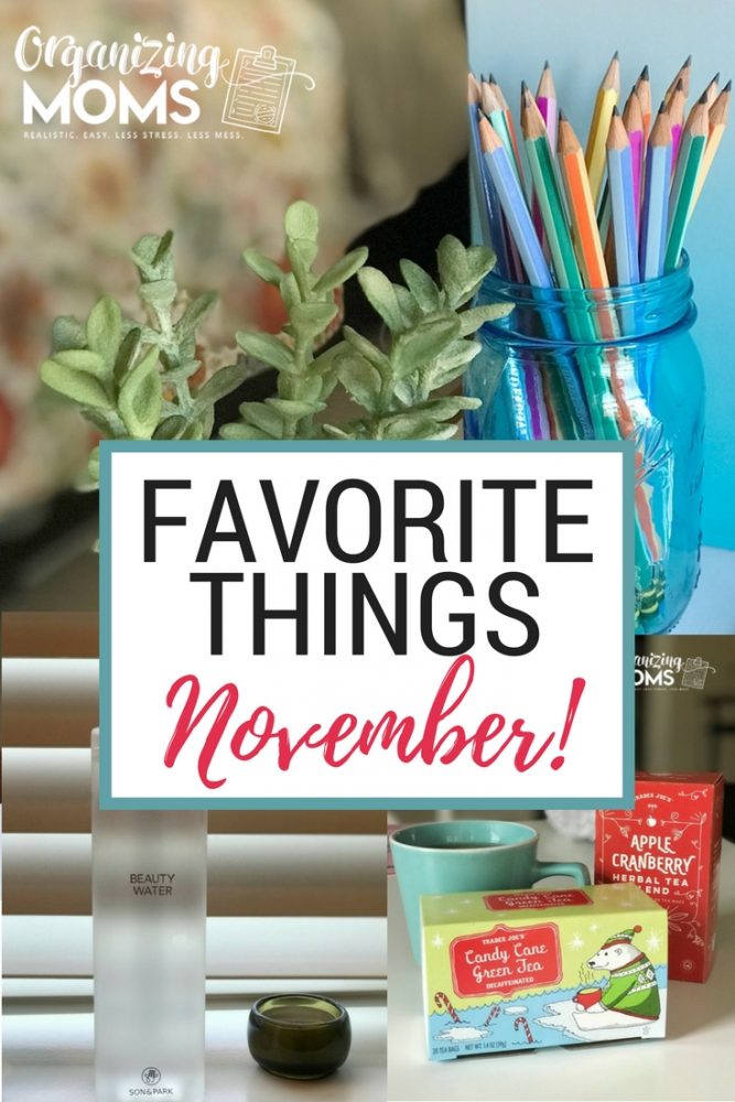 Favorite Things for November. A list of awesome finds for the month - many of which would make great gifts!
