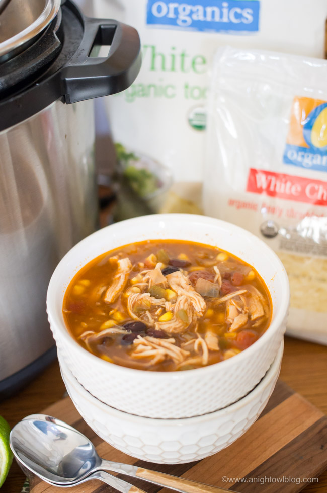 The Best Instant Pot Chicken Recipes - Organizing Moms