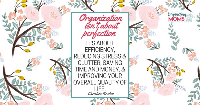 Text - Organization isn\'t about perfection. It\'s about efficiency, reducing stress & clutter, saving time and money, & improving your overall quality of life - Christina Scalise. Pink floral background.