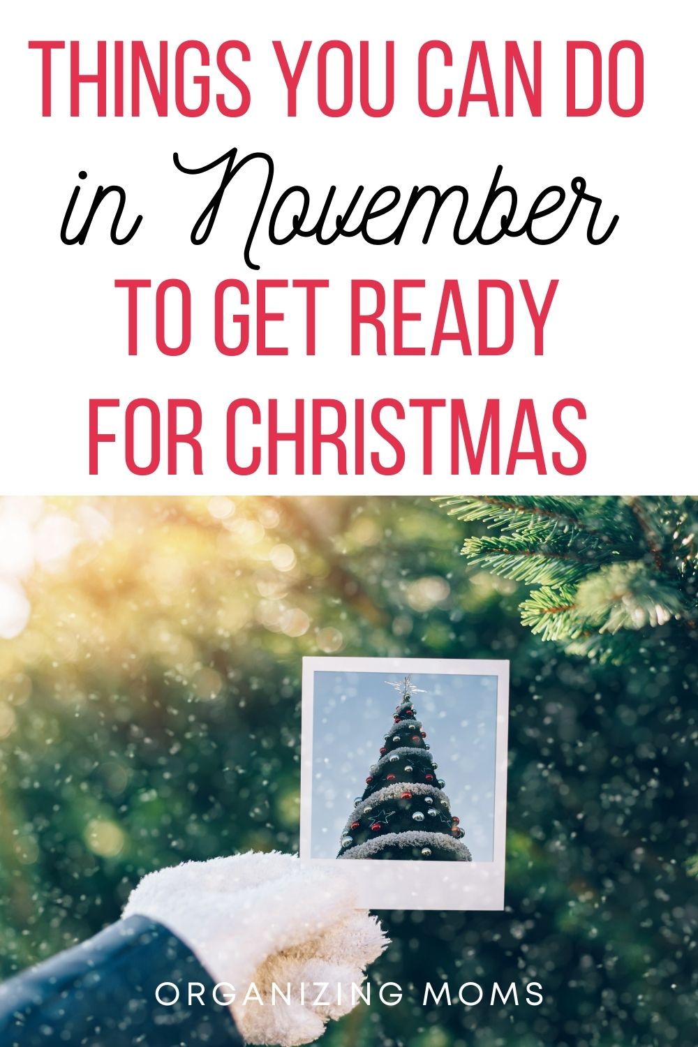 Image of person holding picture of Christmas tree up to an evergreen tree with the text Things You Can Do in November to Get Ready for Christmas