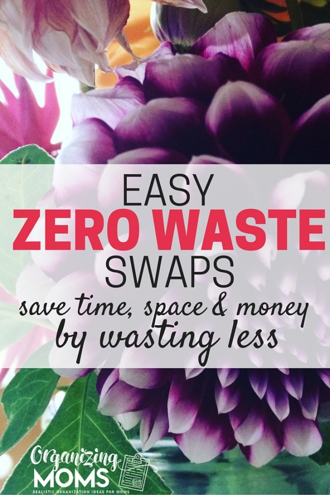 Easy zero waste swaps that can help your family save money. Save the planet, save money, and save space. One family could save over $1600/year by making these simple zero waste changes. 