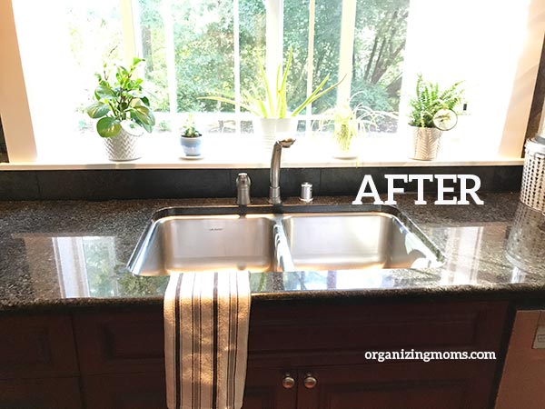 After image of clean sink in front of bright window filled with plants.