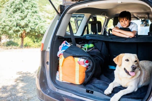 trunk of van with organized bag, dog, kid, to demonstrate car organization tips