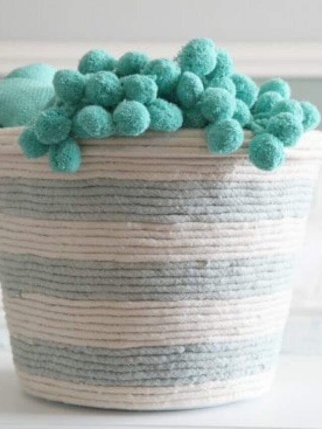 DIY Baskets for Storage – Amazing Customized Storage Ideas Story