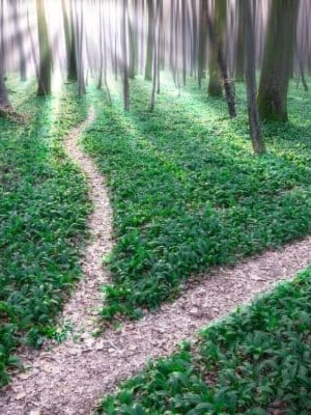 Free Up Your Mind By Making Fewer Decisions Story