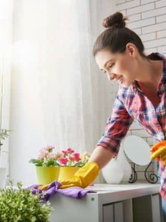 How to Clean a Microwave Story
