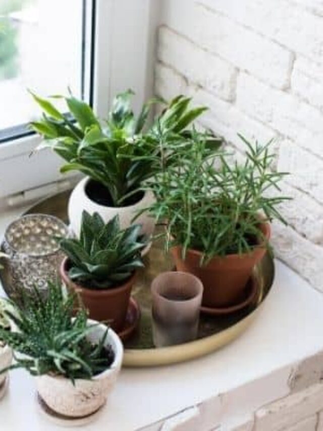 How to Declutter Your Home So You Love It Story