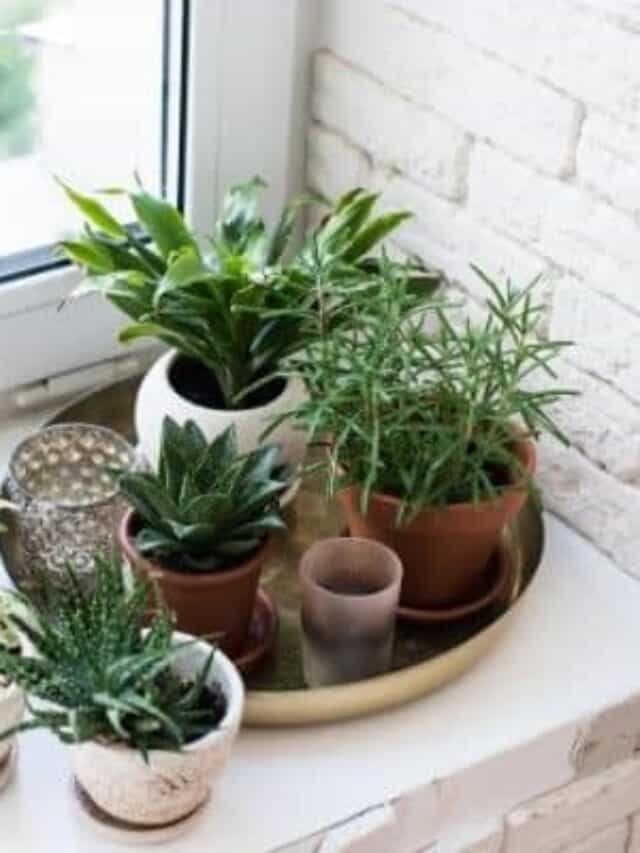 cropped-how-to-declutter-your-home.jpg