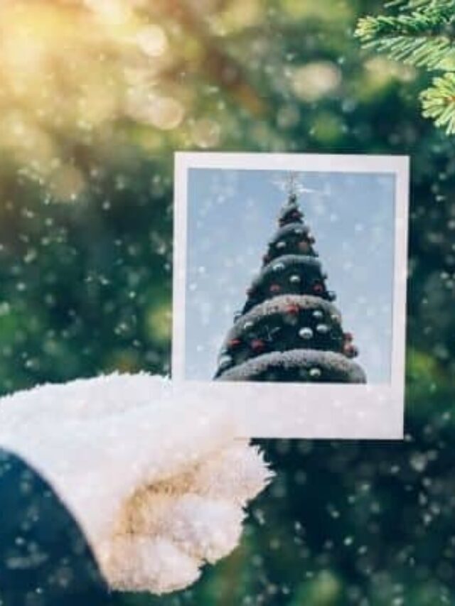 How to Get Ready for Christmas in November Story