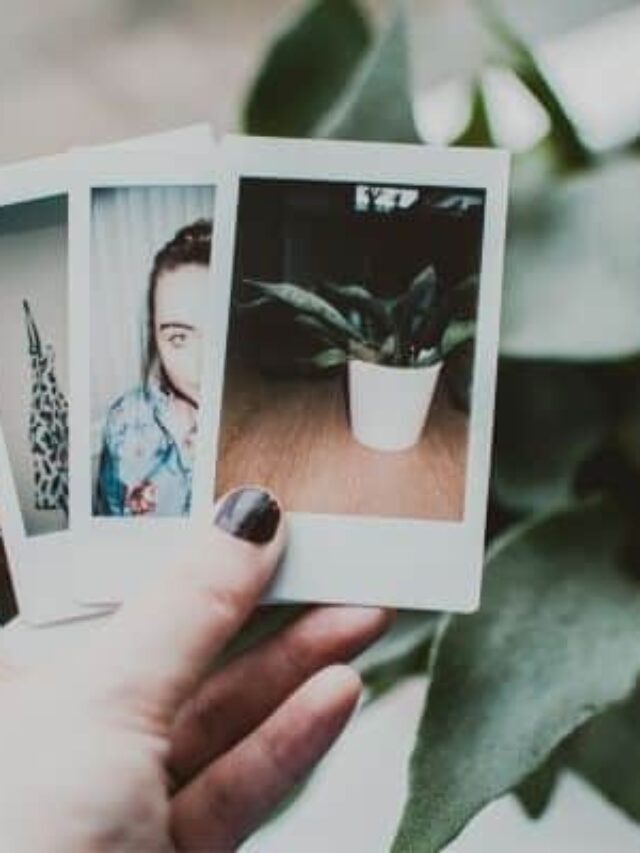 Step-By-Step Photo Organization Story