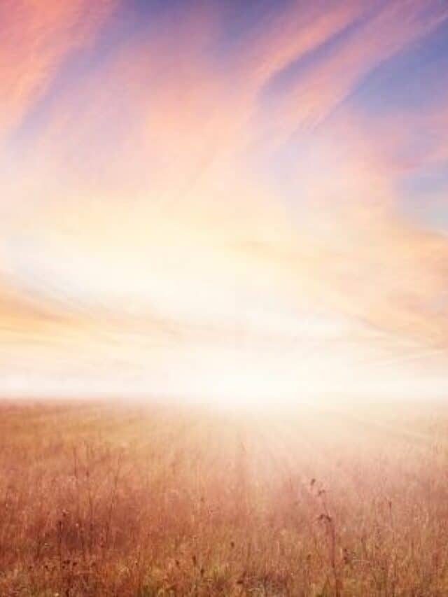 cropped-sunrise-in-unplowed-field.jpg