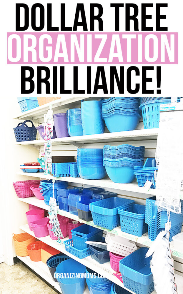 Brilliant Dollar Tree Organization Ideas You've Got to Try ...