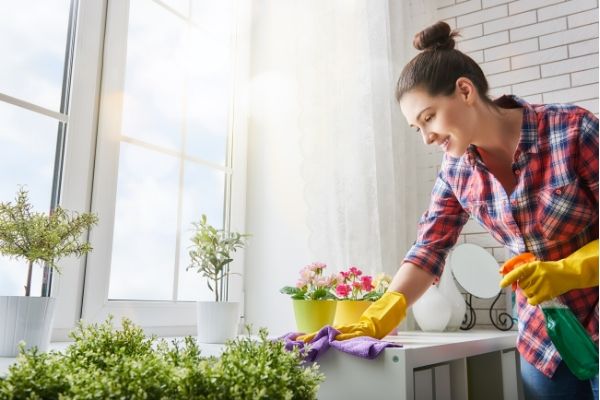 flylady emergency cleaning