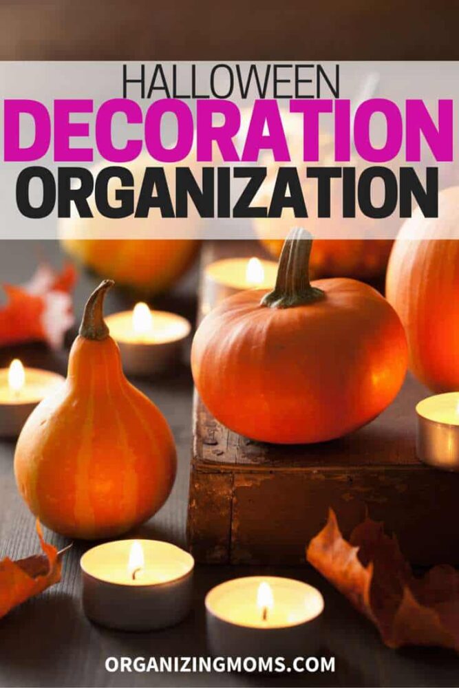 How to Store Decorations for Halloween - Organized 31