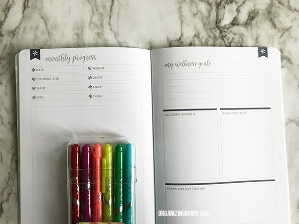 inside erin condren wellness log monthly progress