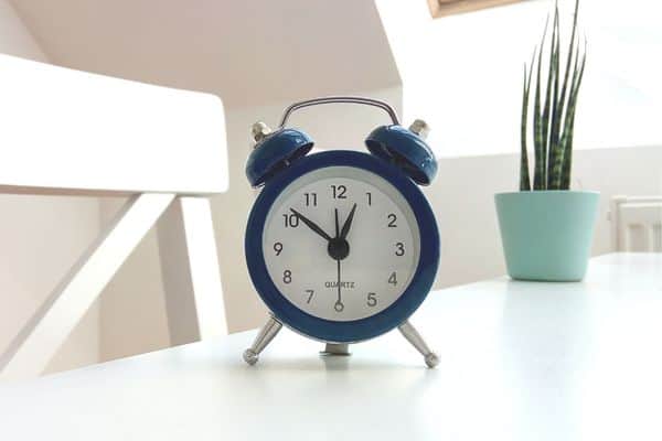 little clock and plant on white table to symbolize micro time wasters