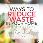 Reduce waste in your home using the resources available in your own town. Many zero waste home tips are written by people who live in big cities. Here are tips that might work for any locale. Ways to reduce waste, save money, and help the environment.