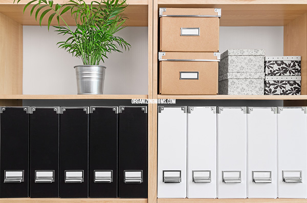 File boxes, photo boxes, and plant on organized shelf