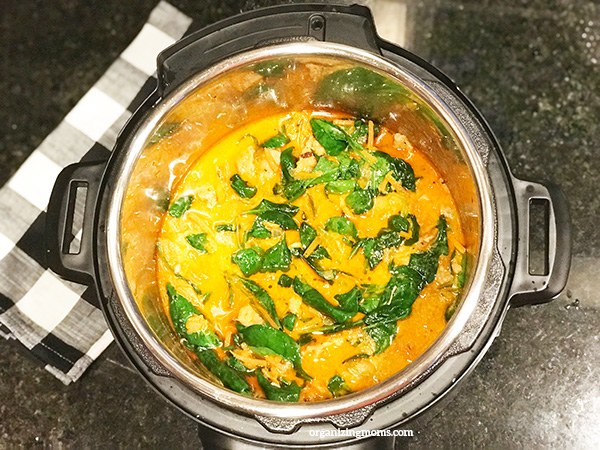 pressure cooker coconut chicken curry