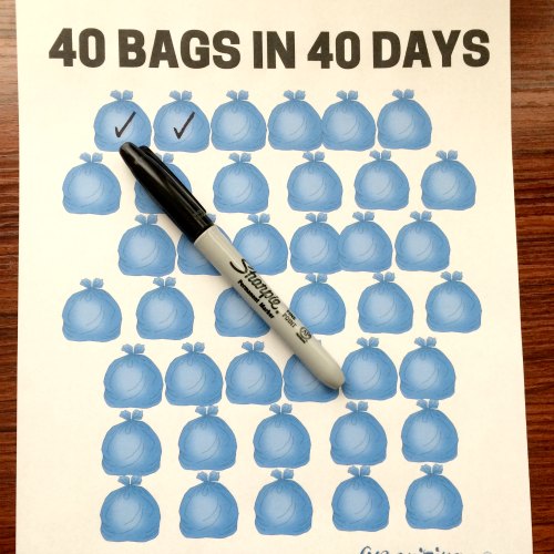 small 40 bags 40 days Organizing Moms