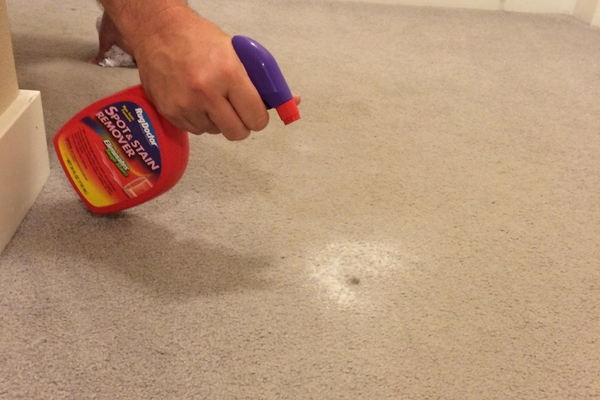 spot and stain remover