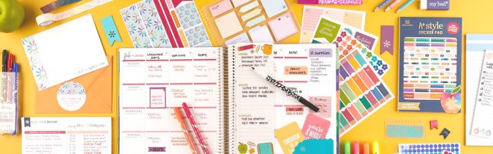 Erin Condren Teacher Lesson Planner