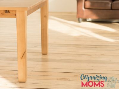 Don't worry - it's not gross! What REALLY happened when we brought a Roomba into our home.